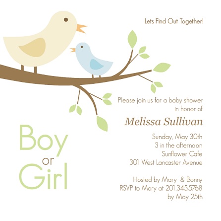 Gender Neutral Baby Shower Invitation