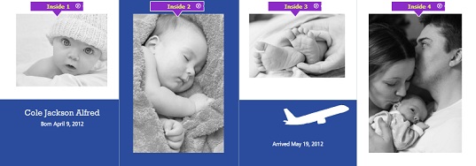 Blue Airplane Adoption Announcement