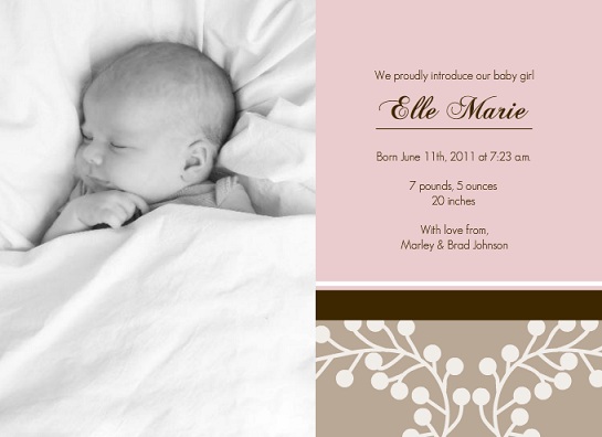Sophisticated Pink And Brown Girl Baby Announcement