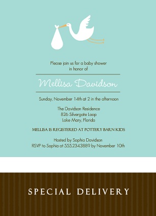 Special Delivery Baby Boy Baby Shower Invitation