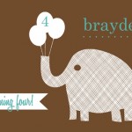 Textured Brown Elephant Birthday Party Invitation Textured Brown Elephant Birthday Party Invitation